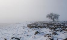 febrero2012.jpg
